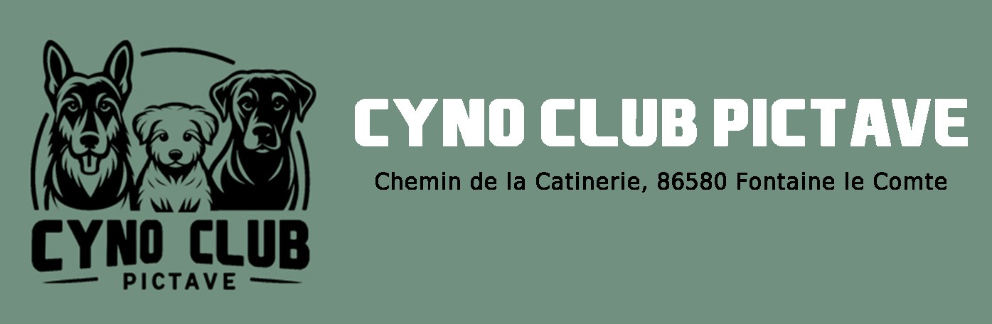 Cyno Club Pictave